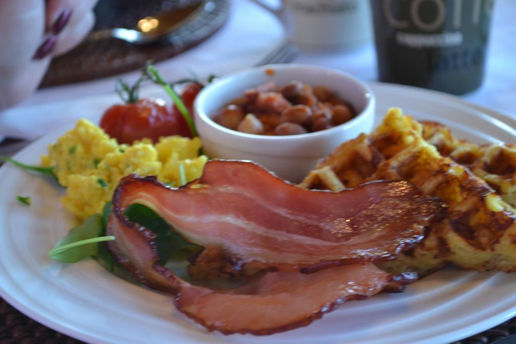 לינה וארוחת בוקר אולבני Hideaway Haven מראה חיצוני תמונה